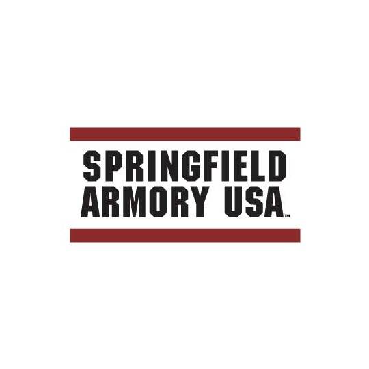 Springfield Armory Echelon Compact Pistol 9mm NEW Striker Fired-img-0
